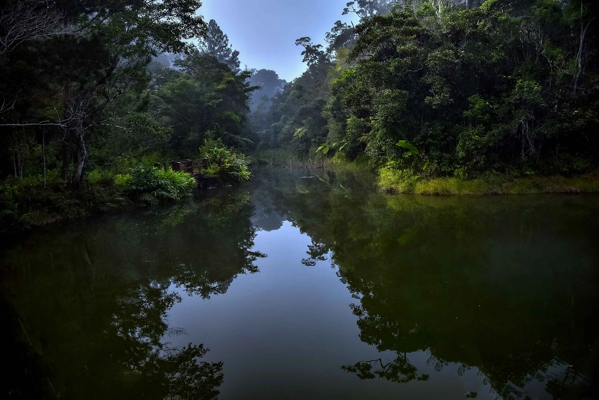 Le parc national de Mantadia